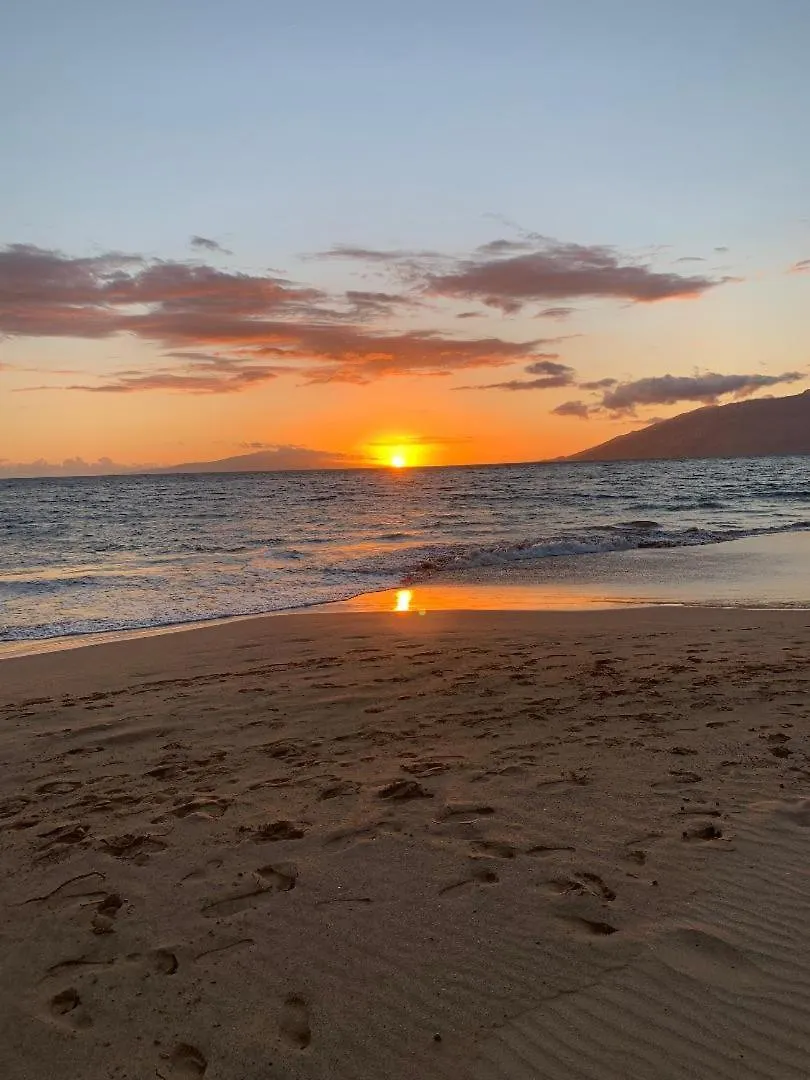 Hale Kamaole 172 Villa Wailea  United States
