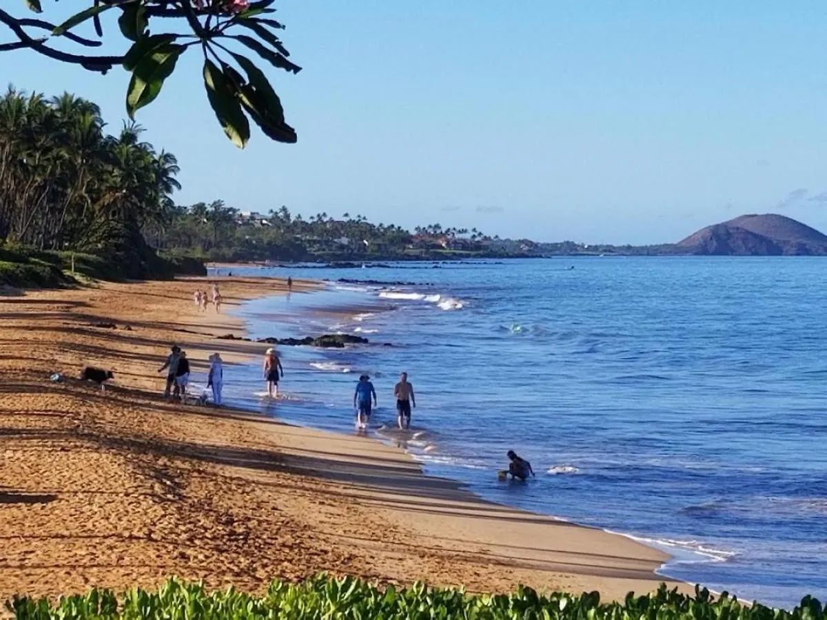 Holiday home Hale Kamaole 172 Villa Wailea