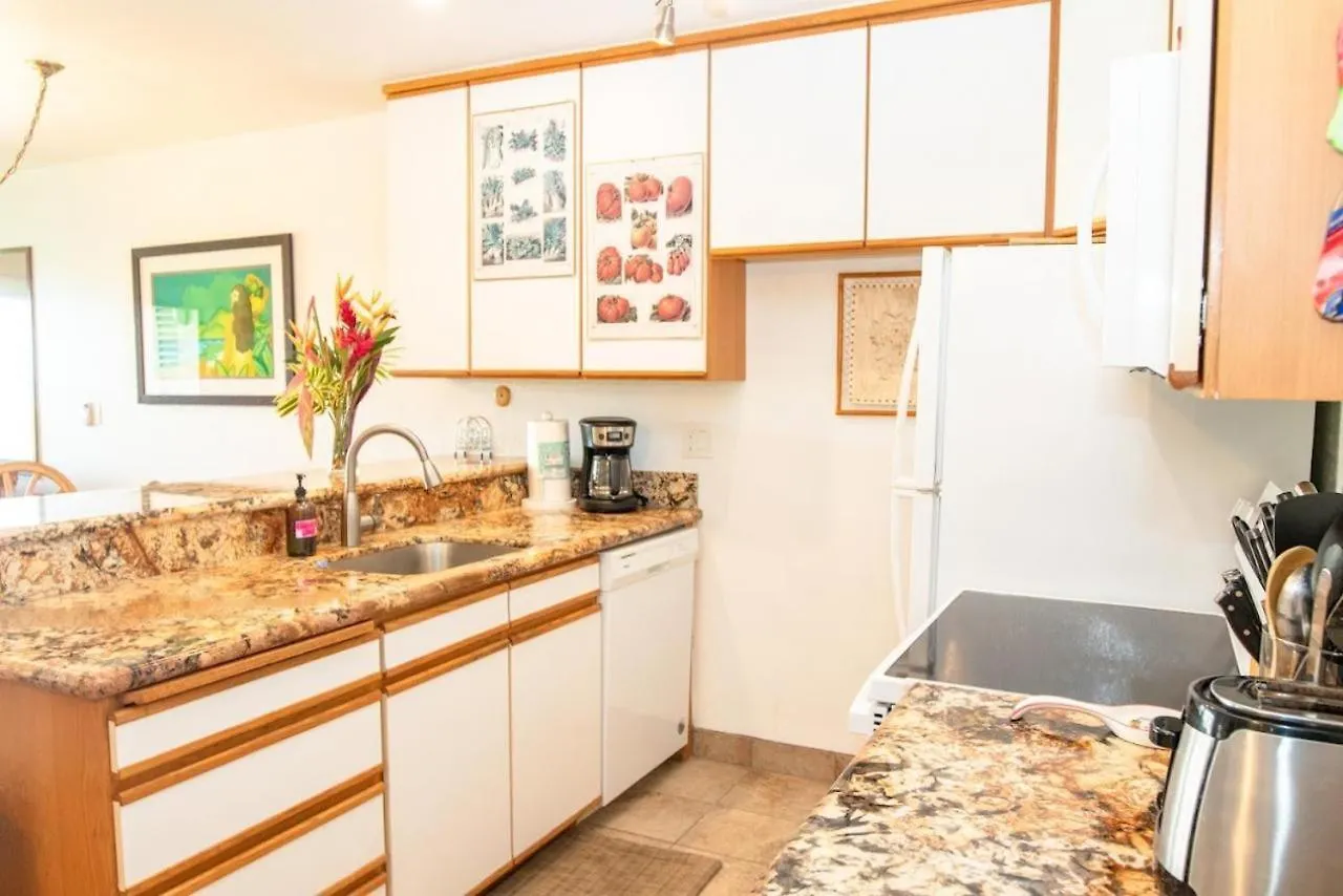 Holiday home Hale Kamaole 172 Villa Wailea