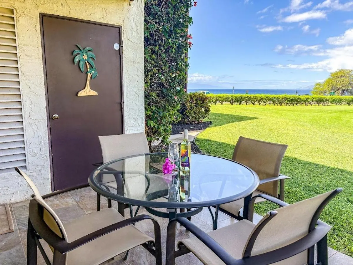 Hale Kamaole 172 Villa Wailea